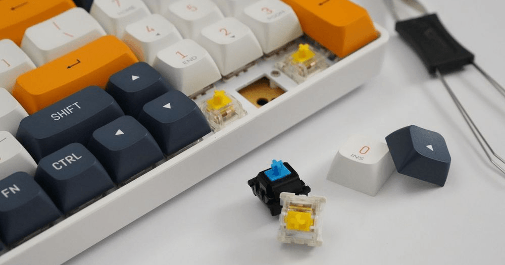 Cách Chọn Switch Bàn Phím Cơ "Chuẩn Gu" Dành Riêng Cho Bạn